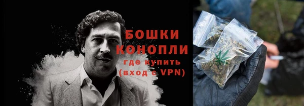 стафф Няндома