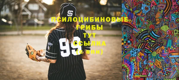 стафф Няндома