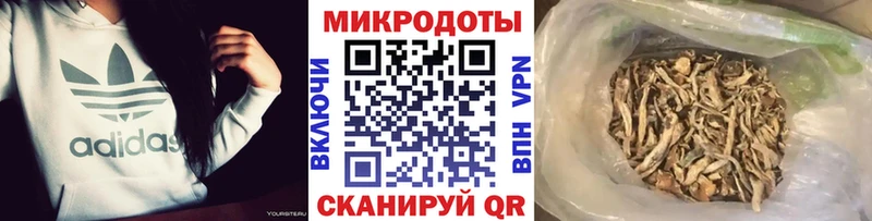 Купить закладки  Чкаловск  Галлюциногенные грибы Psilocybe